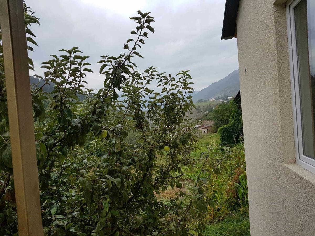 Guesthouse Guram Baba 梅斯蒂亚 外观 照片